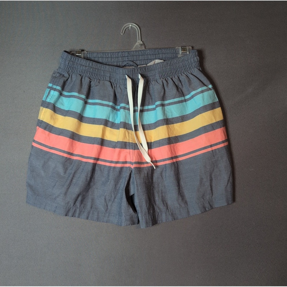 Chubbies Mens Striped Swim Shorts Gray Red Yellow Blue M 5.5 Inseam Mesh Lined